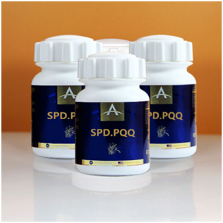 ����ԭװ����SPD.PQQ����һվʽODM��������ֱ��ֱ���������򱣻�